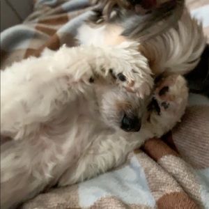 Meet your Posher, Aime